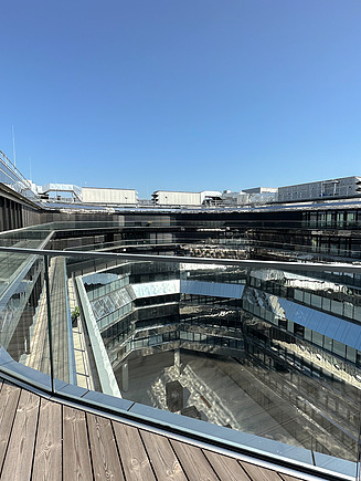 Das Bild zeigt einen Teil der Dachterasse, die aus Holzlatten besteht.