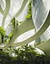 The picture shows a futuristic building with green elements