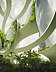 The picture shows a futuristic building with green elements