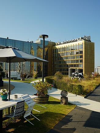 Das Bild zeigt das in Teilen begrünte Dach des Axel-Springer-Neubaus.